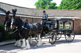 Horse drawn funeral cart