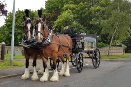 Horses pulling glass carriage with coffin.