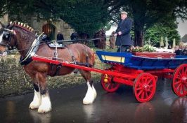 Horse and carriage with coffin.
