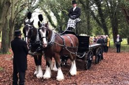 Two horses pulling a carriage with a coffin.